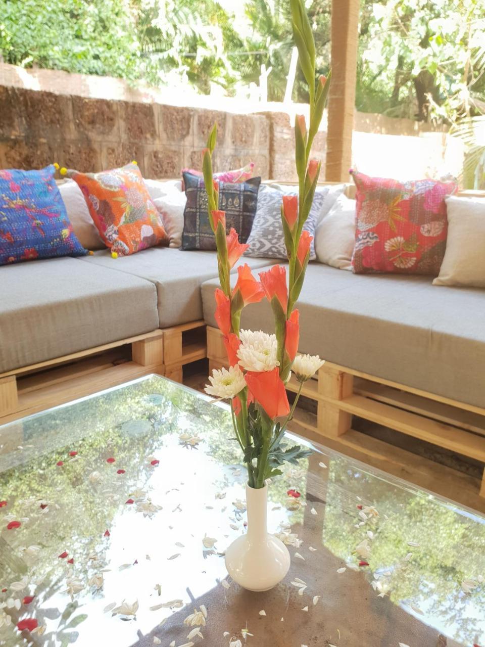 Palm Forest بالوليم المظهر الخارجي الصورة