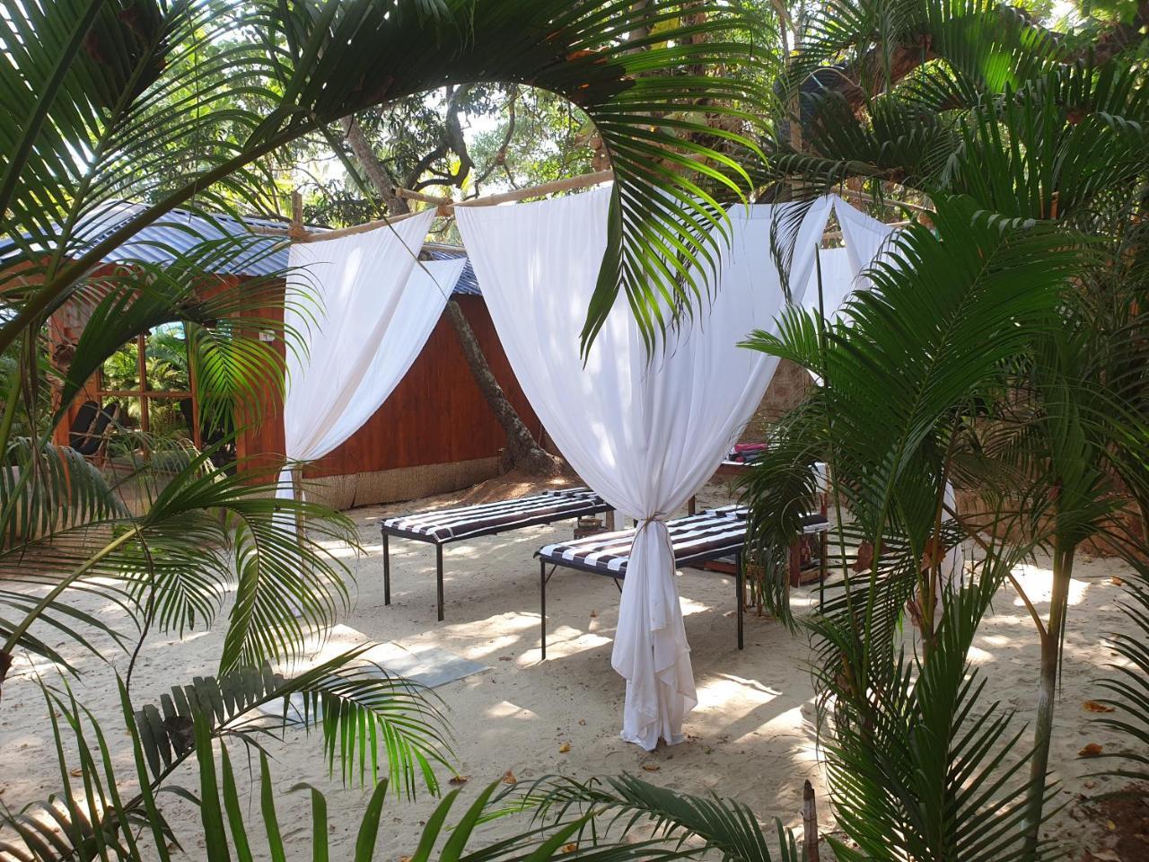 Palm Forest بالوليم المظهر الخارجي الصورة