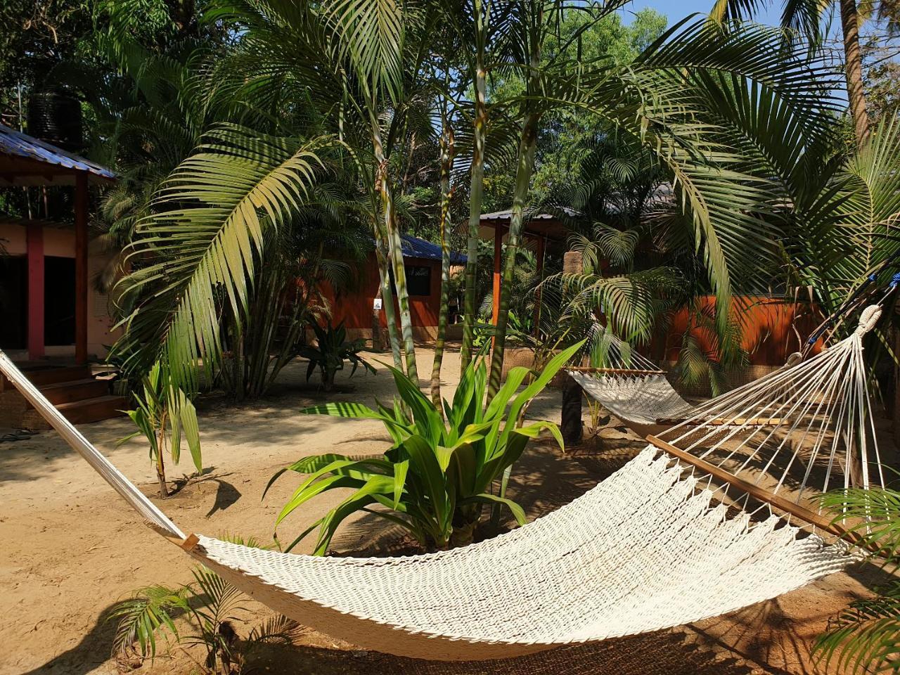 Palm Forest بالوليم المظهر الخارجي الصورة