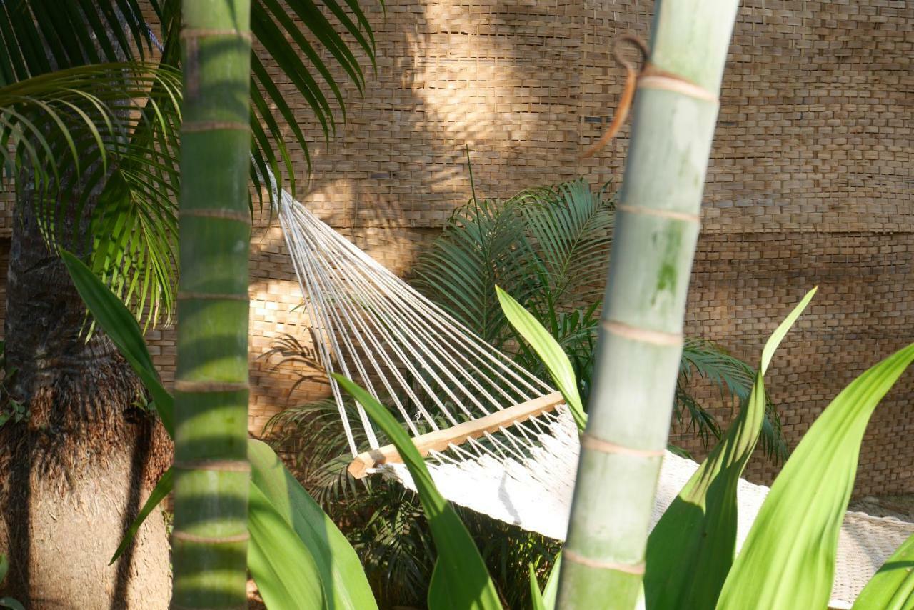 Palm Forest بالوليم المظهر الخارجي الصورة